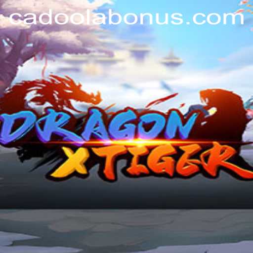 Unleashing the Excitement of DragonXTiger at Cadoola